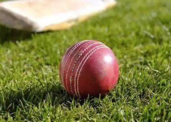 Euro T20 Slam cricket tournament postponed due to coronavirus pandemic